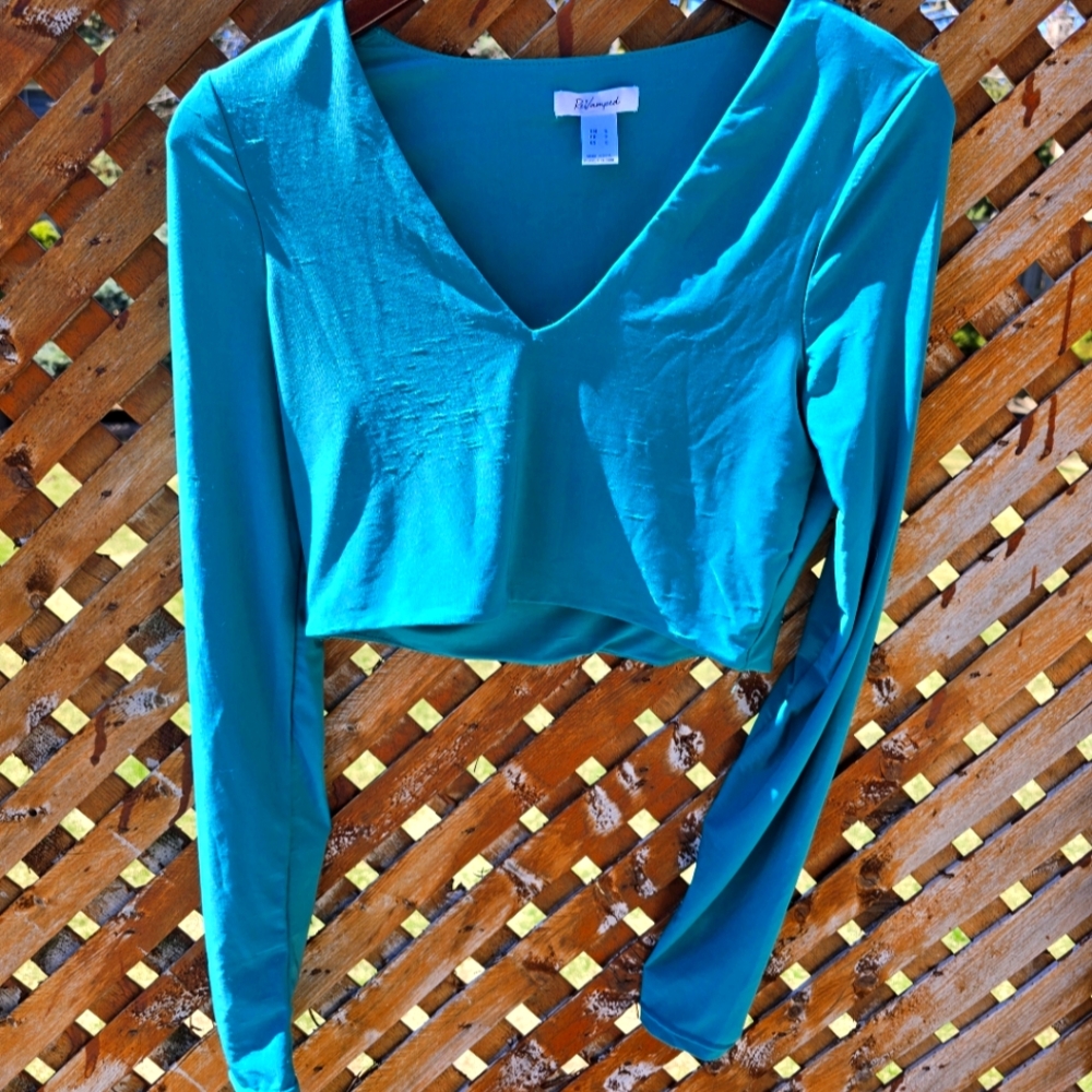 Teal Long Sleeved Crop Top